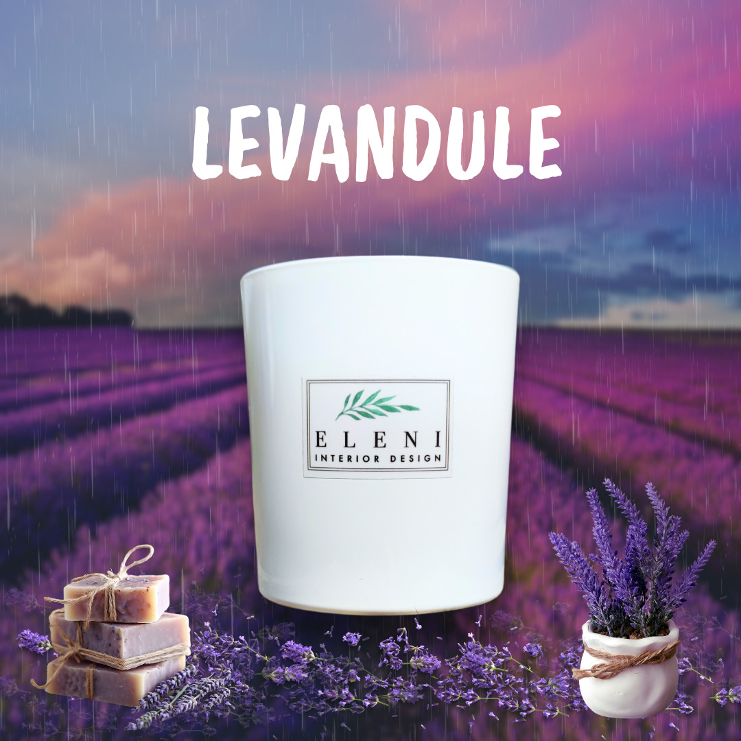 Divoká levandule